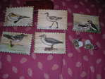 THEME:OISEAUX:oiseaux de mer (cartes postales) -- 14/02/06